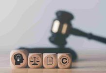 Opalexe : plateforme clé pour experts, avocats et magistrats Opalexe