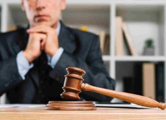 Opalexe : pourquoi révolutionne-t-il l’expertise judiciaire ? Opalexe
